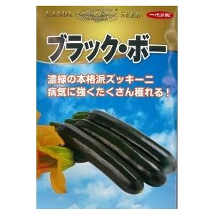 神田育種 ズッキーニ ブラック・ボー 100粒 : 種苗・園芸ショップ 種