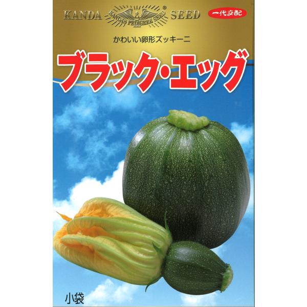 神田育種　ズッキーニ　ブラックエッグ　100粒