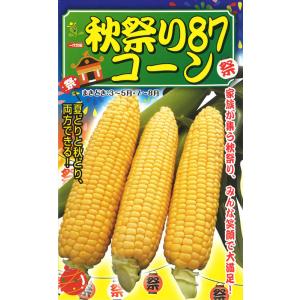 大人気！】野菜の種/種子 甘々娘・とうもろこし・トウモロコシ