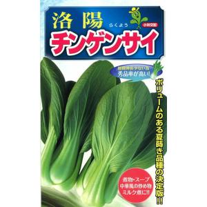 タキイ種苗 レタス ヒートガイ ペレット5000粒 : 種苗・園芸ショップ