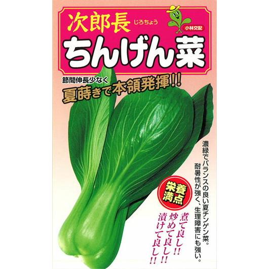 たね 小林種苗  チンゲンサイ 青梗菜　次郎長　20ml