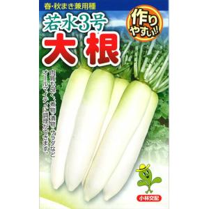 八江農芸 ダイコン だいこん 大根 赤首女山三月 20ml : 種苗・園芸