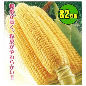 たね 小林種苗 トウモロコシ とうもろこし スイートレモン82 200粒