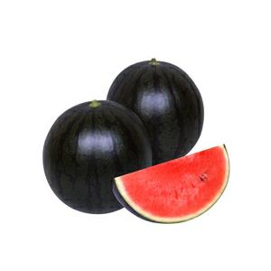 たね 丸種 スイカ 種子 姫甘泉ブラック　小袋