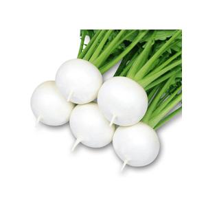 丸種 カブ 快慶(かいけい)小袋の商品画像