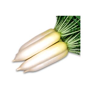 大根のえ 八江農芸 ダイコン だいこん 大根 赤首女山三月 20ml : 種苗