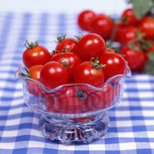 愛三種苗 中玉トマト 愛ちゃんトマトのタネ[内容量：約15粒