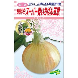 松永種苗 タマネギ 超極早生玉葱 スーパー春いち...の商品画像