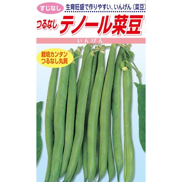松永種苗 菜豆 つるなしテノール菜豆 小袋