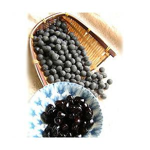 丹波黒大粒大豆　1L　【タキイ種苗】　種 枝豆 丹波黒大粒大豆 1L タキイ種苗（株） : グリーンロフトネモト