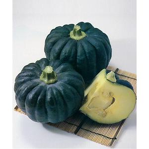 松永種苗 カボチャ かぼちゃ 南瓜 極早生つばめ ml Matunaga 03 種苗 園芸ショップ 種もり 通販 Yahoo ショッピング