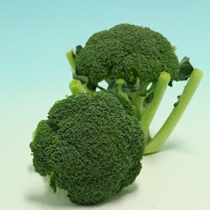 SK9-099 ブロッコリー種子 2000粒 【野菜種子】【サカタのタネ