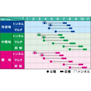 みかど協和 トウモロコシ サニーショコラ88 ...の詳細画像1