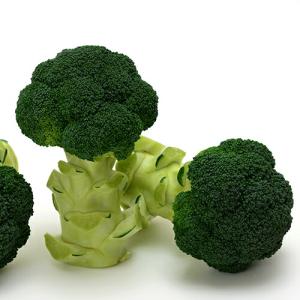 未開封 SK9-099 ブロッコリー コート種子 5000粒 ぺレット サカタ SK9-099 ブロッコリー種子 ペレット5000粒 【野菜種子】【サカタのタネ