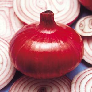 ナカハラのたね タマネギ 玉葱 くれない玉葱 小袋
