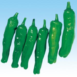 ナカハラのたね　シシトウ ししとう　松禄ししとう　小袋