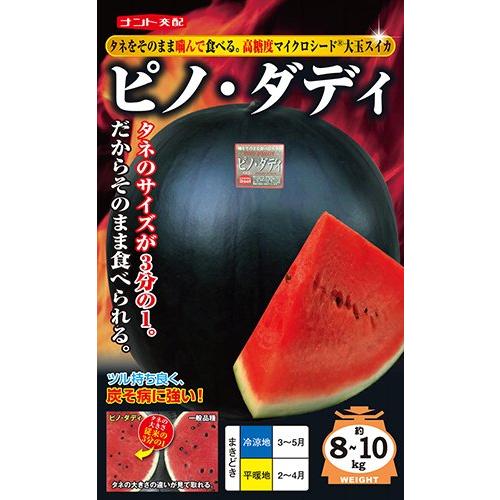 たね ナント種苗 スイカ 種子 ピノ・ダディ　小袋