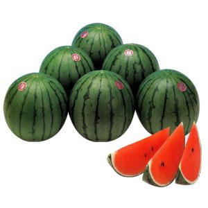 ナント種苗 スイカ 西瓜 すいか 羅皇 ザ・スウィート 200粒