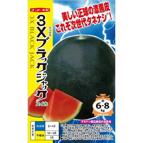 たね ナント種苗 スイカ 種子 ３Ｘブラックジャック（シードレス西瓜）小袋