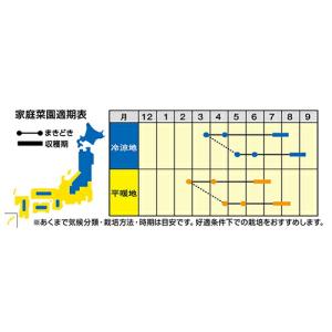 たね ナント種苗 メロン 種子 ムーンライト(...の詳細画像2