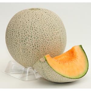 大特価！】野菜の種/種子 おおもの83・とうもろこし・スイートコーン