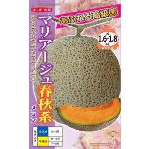 たね ナント種苗 スイカ 種子 羅 皇（らおう）小袋 : 種苗・園芸