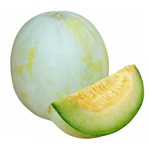 たね ナント種苗 メロン種子 都プリンス　小袋