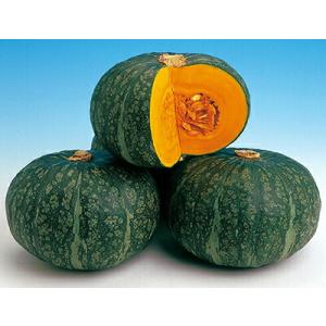 ナント種苗 カボチャ くりまさる　小袋
