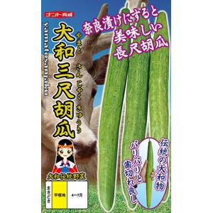 大特価！】野菜の種/種子 甘々娘・かんかんむすめ・とうもろこし