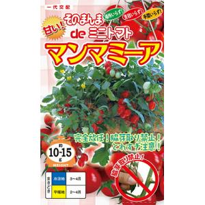 ナント種苗 トマトそのまんまdeミニトマト マン...の商品画像