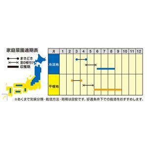 ナント種苗 トマトそのまんまdeミニトマト マ...の詳細画像1