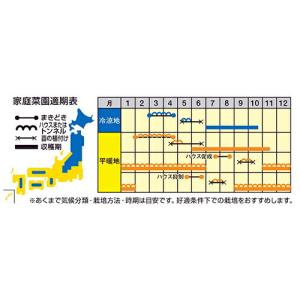 ナント種苗 ピーマン とんがりパワー(ジャンボ...の詳細画像2