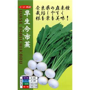 枝豆 丹波黒大粒大豆 1dl(約65粒) タキイ種苗（株） : グリーンロフト