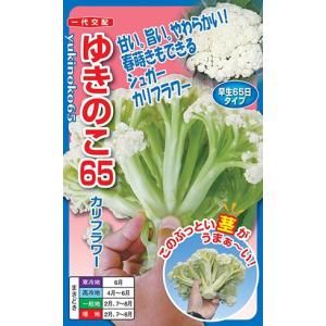 タキイ種苗 レタス ヒートガイ ペレット5000粒 : 種苗・園芸ショップ