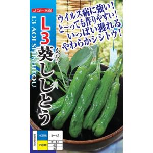 茶豆7号（90日中晩生）50ml【枝豆種子】佐藤政行種苗 （旧：庄内茶豆