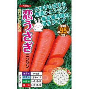 みかど協和 ニンジン クリスティーヌ コート 200粒 : 種苗・園芸