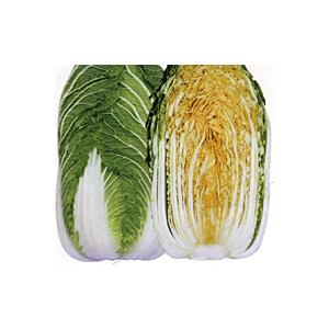 ナント種苗 ハクサイ 白菜 はくさい　CR金鯱85　小袋