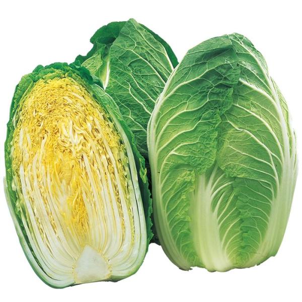 サカタのタネ ハクサイ 白菜 ちよぶき85 ペレット5000粒