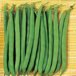 サカタのタネ インゲン アーロン 1dlの商品画像