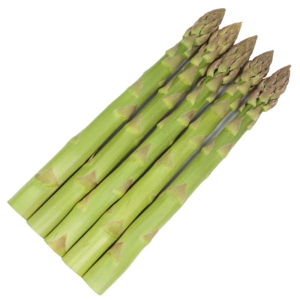 サカタのタネ   アスパラガス  ウェルカムAT　100粒