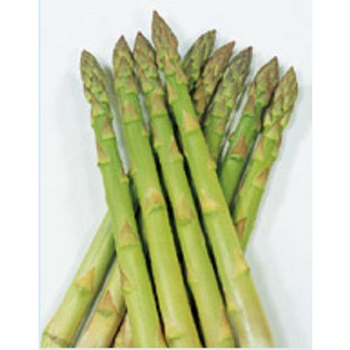 サカタのタネ   アスパラガス   スーパーウェルカム　20ml