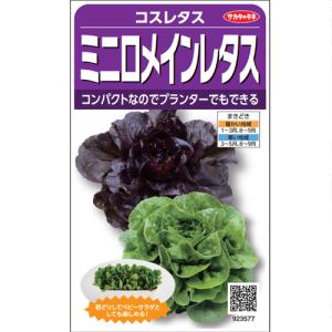 トキタ種苗 ネギ 葱 ねぎ 冬月の雫 コート5000粒 : 種苗・園芸ショップ