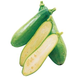 サカタのタネ　カボチャ 南瓜 かぼちゃ　マッチャン　小袋