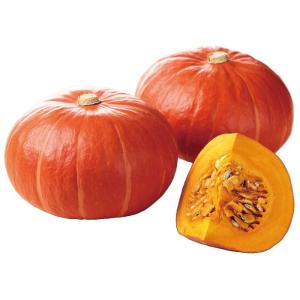 タキイ種苗 カボチャ 南瓜 アトランチック・ジャイアント 1dl : 種苗