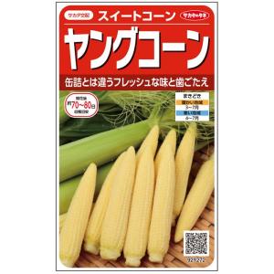 サカタのタネ トウモロコシ とうもろこし　ヤングコーン　小袋