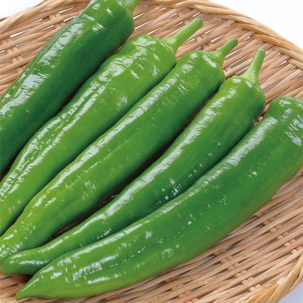 サカタのタネ  とうがらし　甘とうジャンボ　満作　小袋