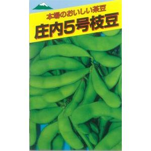 たね 佐藤政行種苗 エダマメ　茶豆５号枝豆　小袋