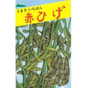 枝豆 神風香 1L 雪印種苗（株） : グリーンロフトネモト - 通販