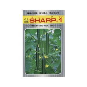 シード　キュウリ きゅうり 胡瓜　シャープ1　350粒