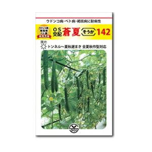 シード　キュウリ きゅうり 胡瓜　 蒼夏142　350粒